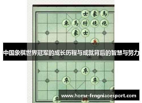 中国象棋世界冠军的成长历程与成就背后的智慧与努力